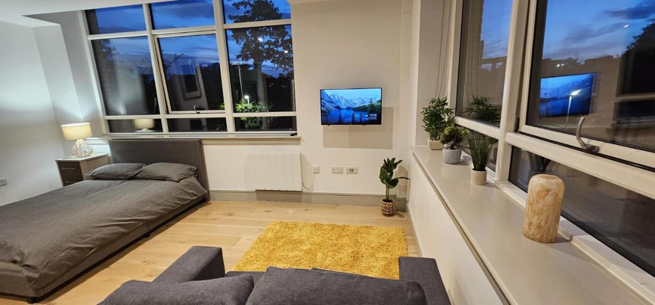 Studio Flat In Tottenham Londres Extérieur photo